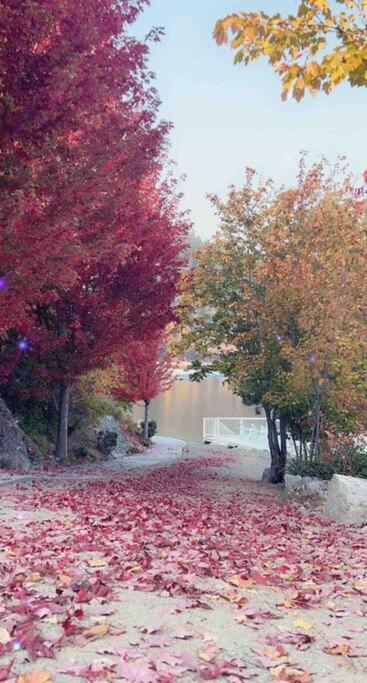 Jasmine Cottage קלונה מראה חיצוני תמונה